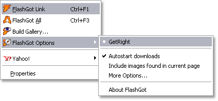 GetRight supports Firefox using Flashgot plug-in